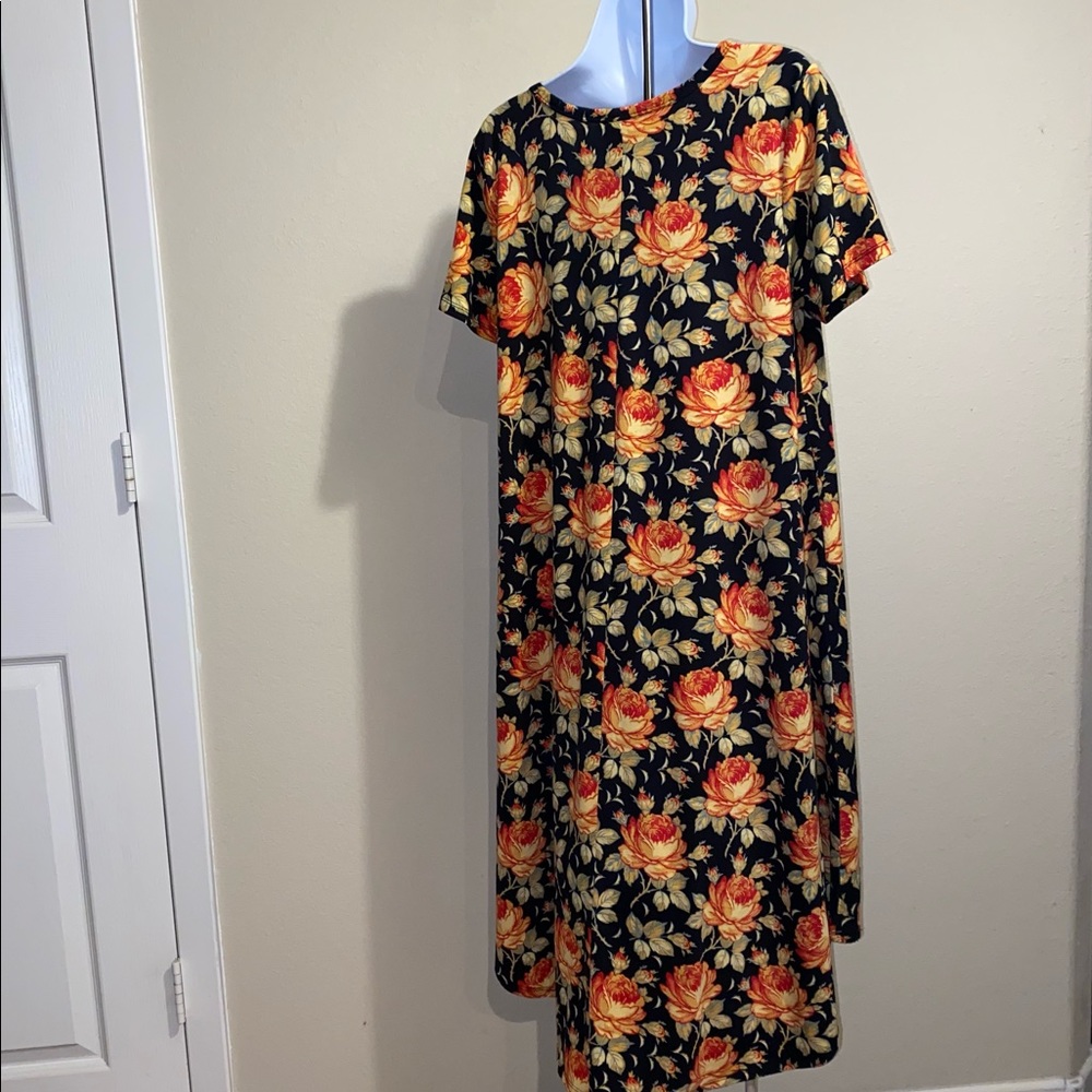 LuLaRoe Carly Dress